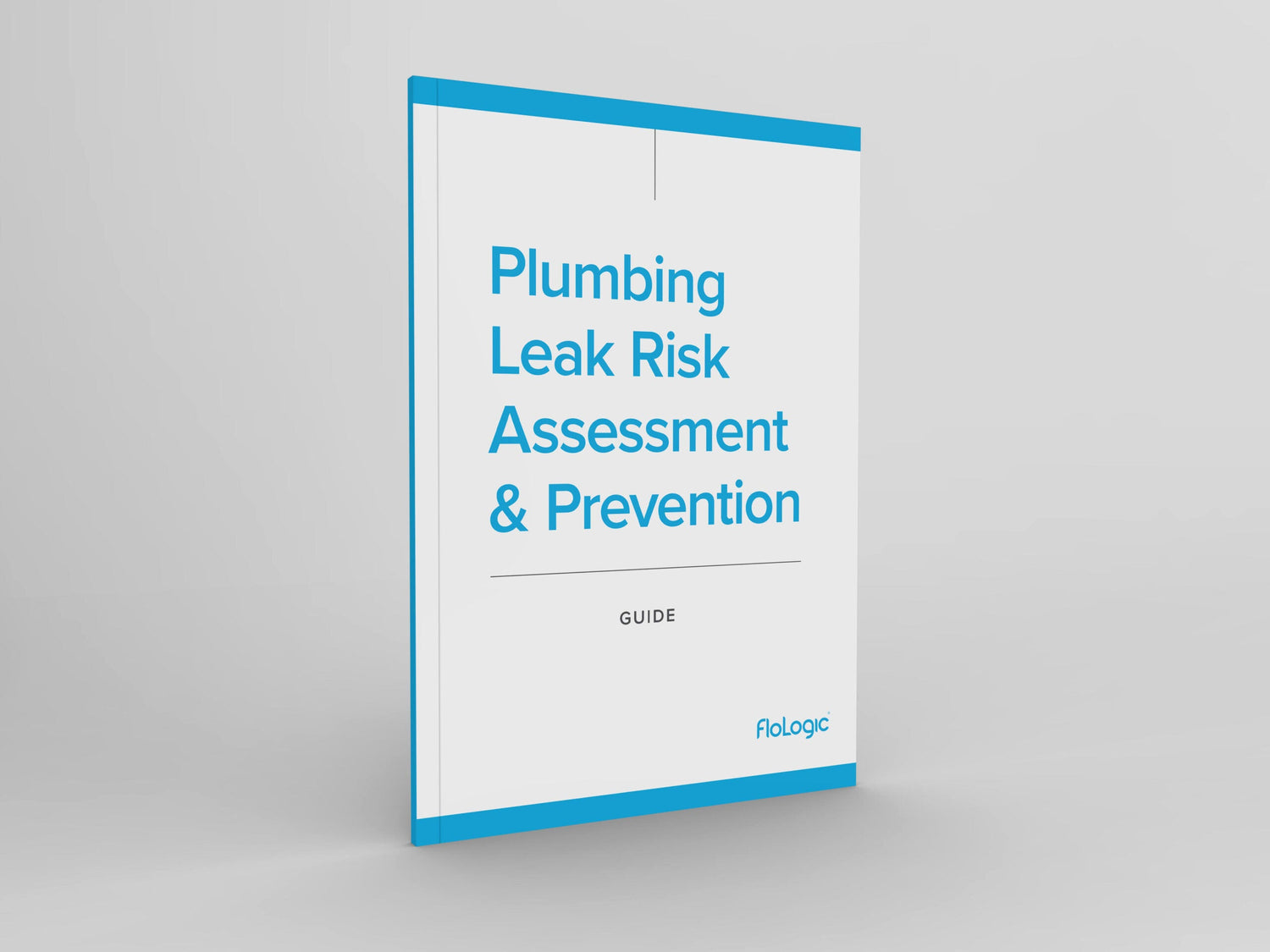 Plumbing leak risk assessment