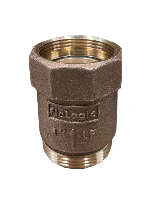 1 inch check valve