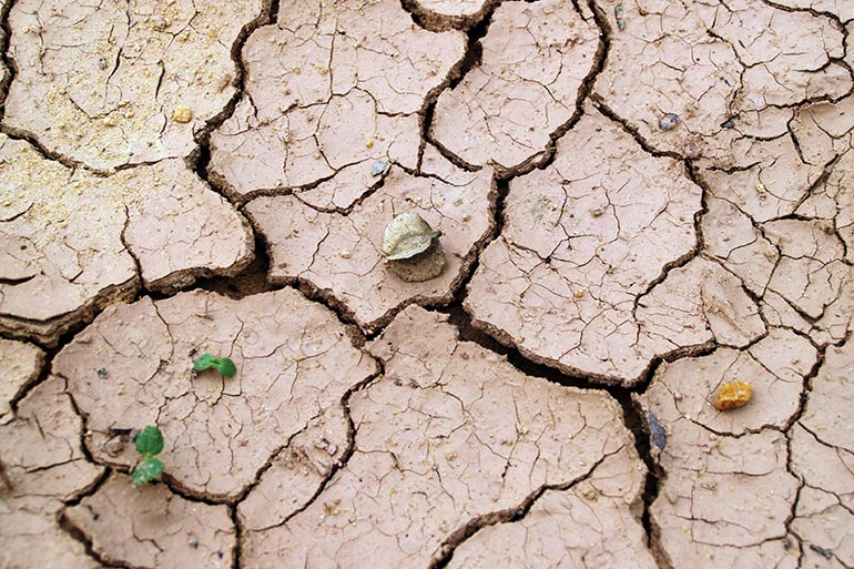 A top view of cracks in dry dirt