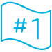 Flag #1 icon