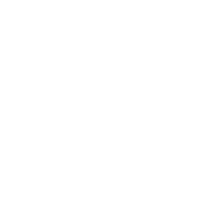 A wireframe of a house