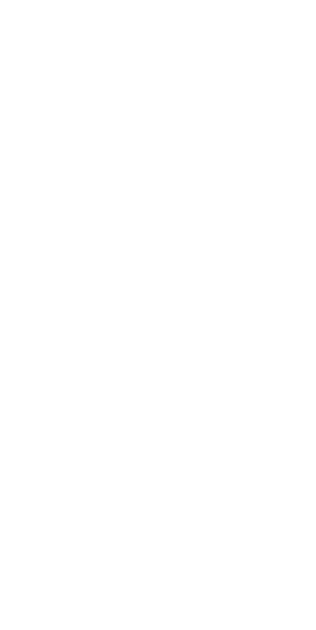 A wireframe of a phone